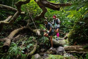 BIB: 
                            <button type="button" onclick="openModal(19407460)" class="btn btn-primary btn-sm float-right btn-popup" data-toggle="modal" data-target=".modal-high-quality">
                        <i class="fas fa-shopping-cart"></i> Add to Cart
                    </button>
                                            <button type="button" onclick="isThisMe(19407460, true)" class="btn btn-success btn-sm float-right btn-popup btn-isme hidden" data-toggle="tooltip" data-placement="bottom" title="นี่คือรูปของคุณใช่ไหม คลิกที่นี่เพื่อเอาเข้าอัลบั้ม">
                        <i class="fas fa-plus"></i> Add to album
                    </button>
                    <button type="button" onclick="isThisMe(19407460, false)" class="btn btn-warning btn-sm float-right btn-popup btn-isnotme hidden">
                        <i class="fas fa-ban"></i> Remove from album
                    </button>